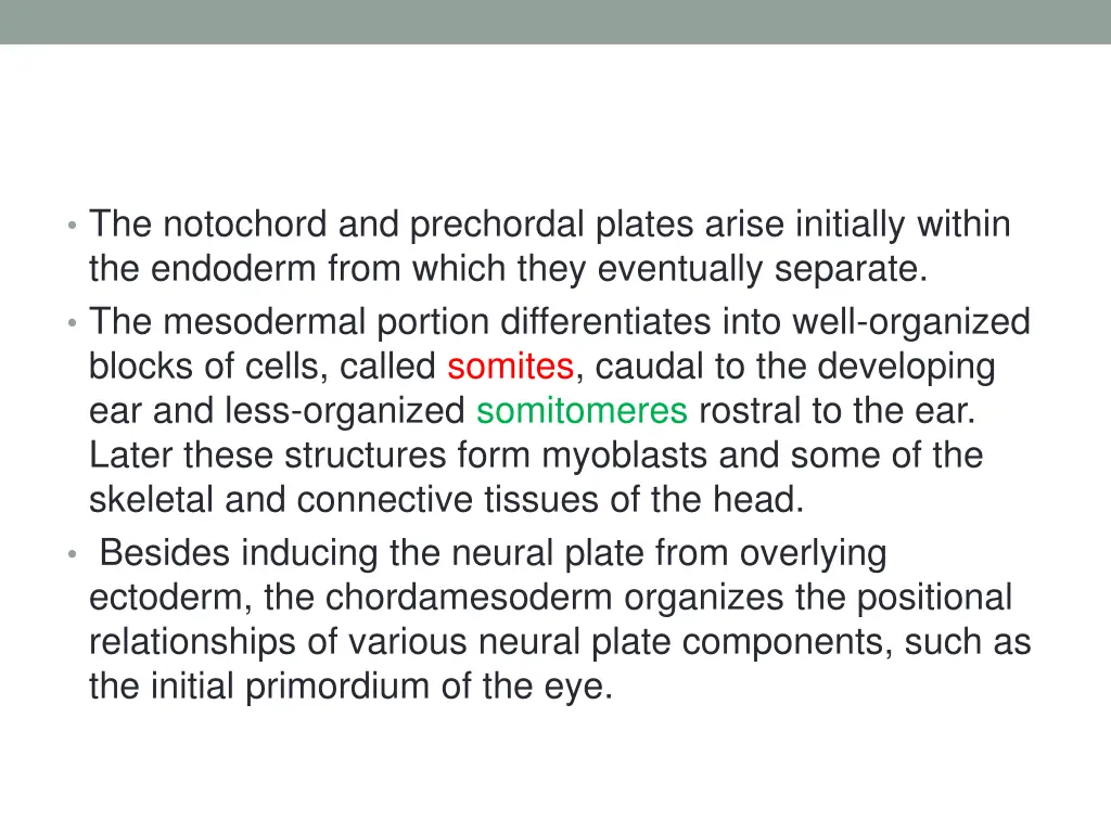 the notochord and prechordal plates arise