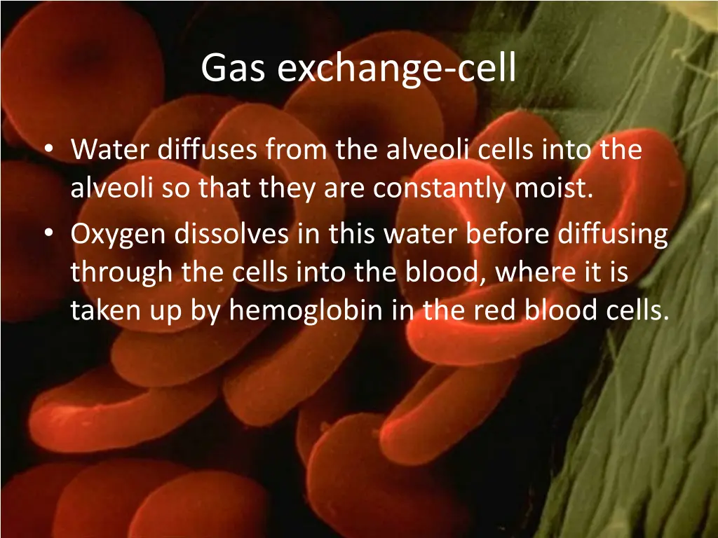 gas exchange cell