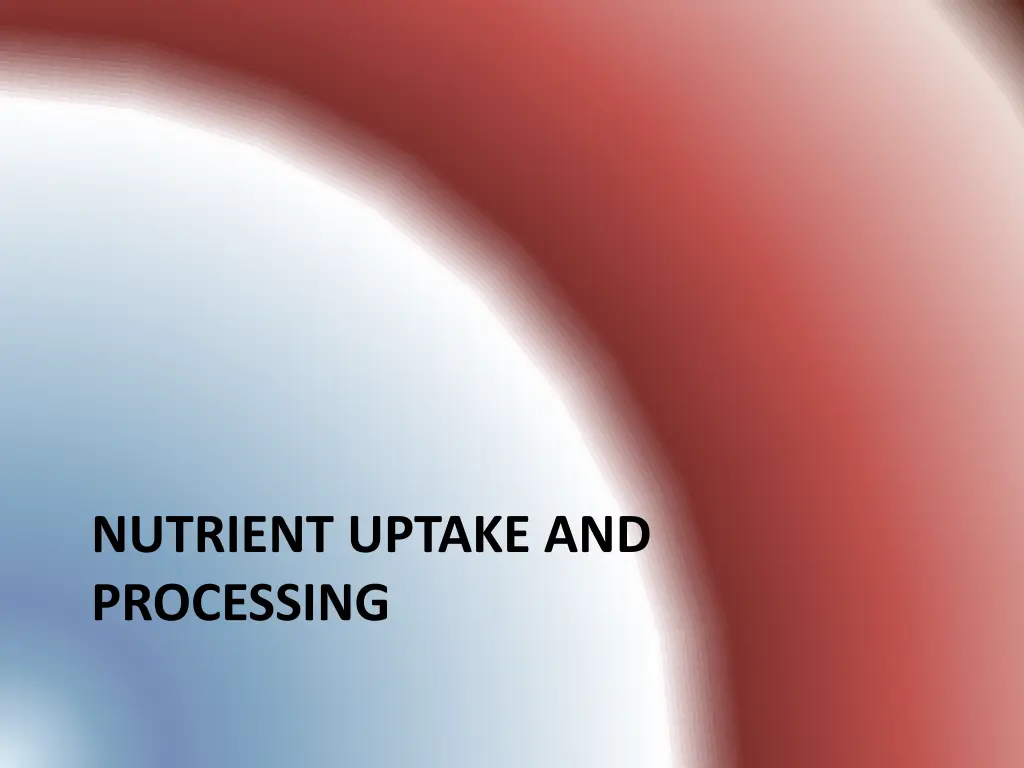 nutrient uptake and processing