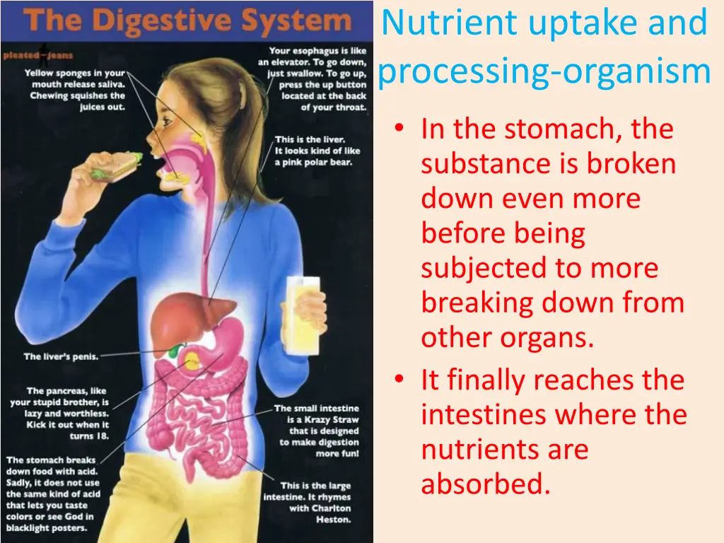 nutrient uptake and processing organism 2