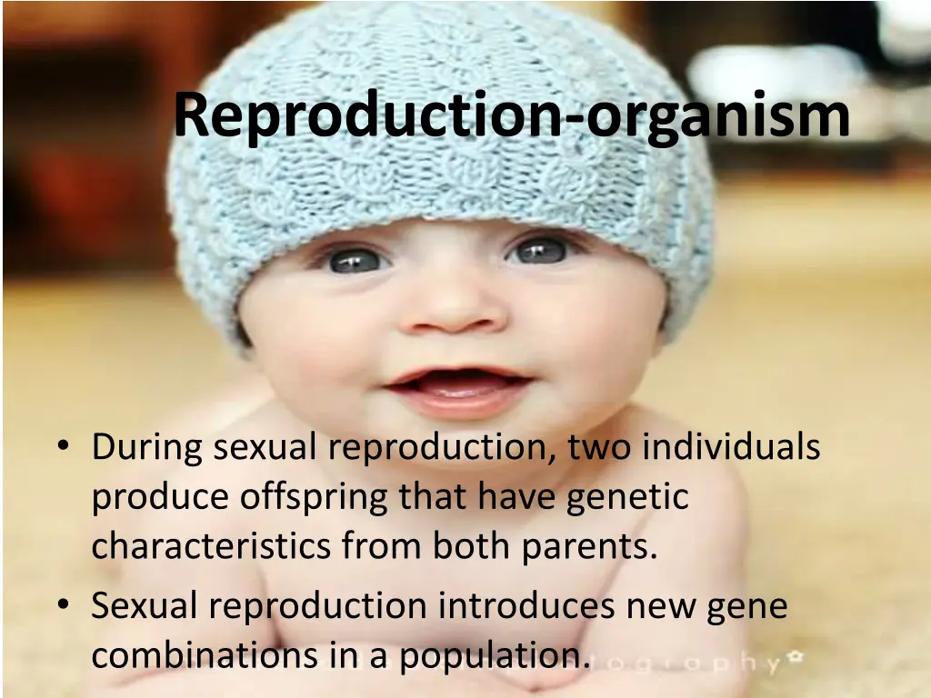 reproduction organism 3