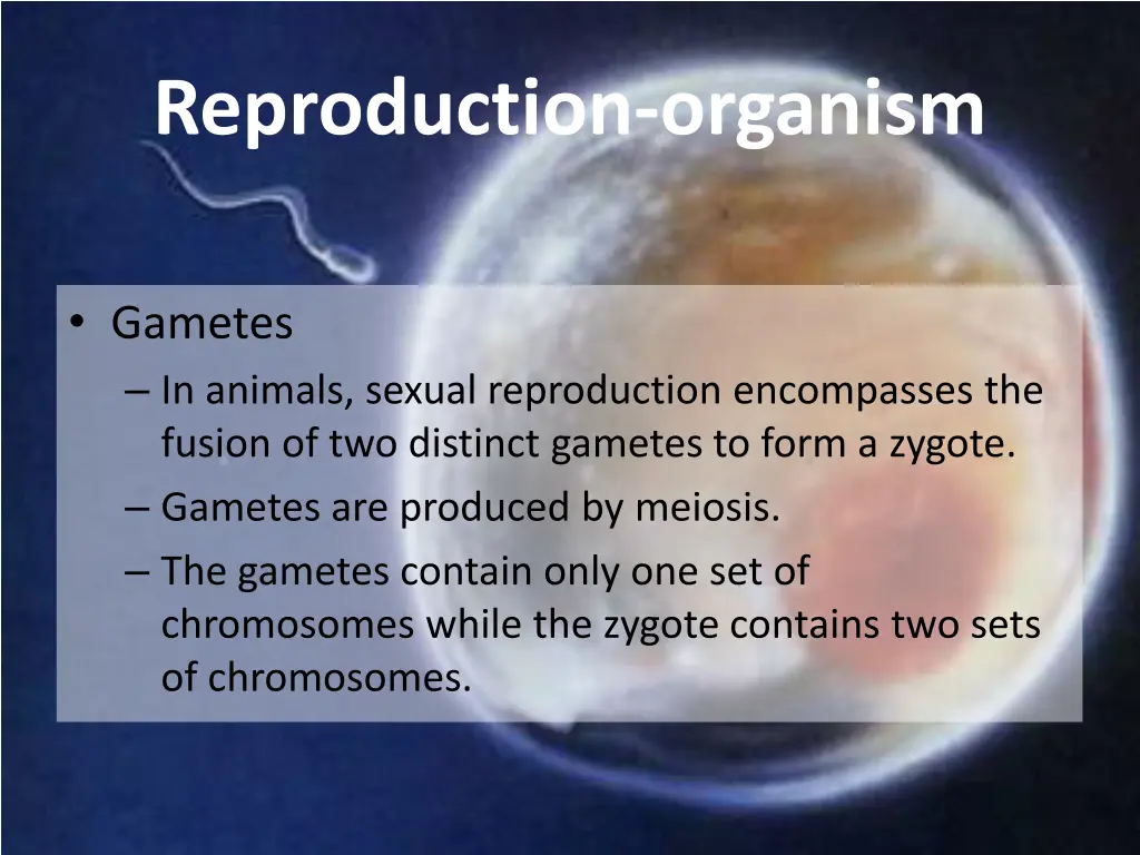 reproduction organism 4