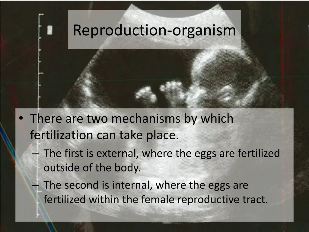 reproduction organism 5