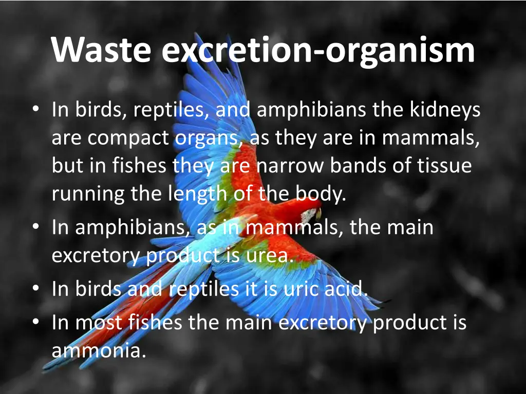 waste excretion organism 4