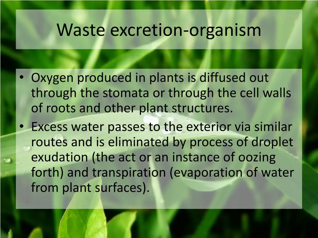 waste excretion organism