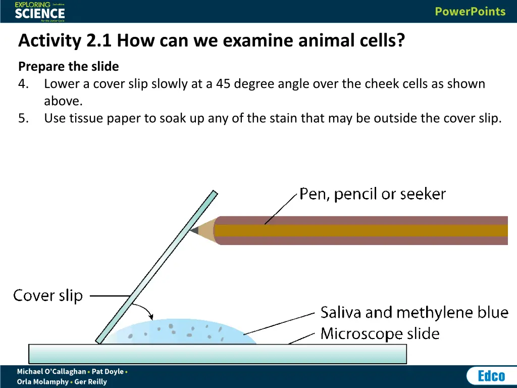 activity 2 1 how can we examine animal cells 1