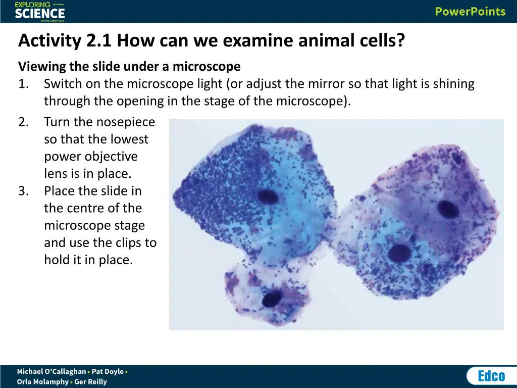 activity 2 1 how can we examine animal cells 2