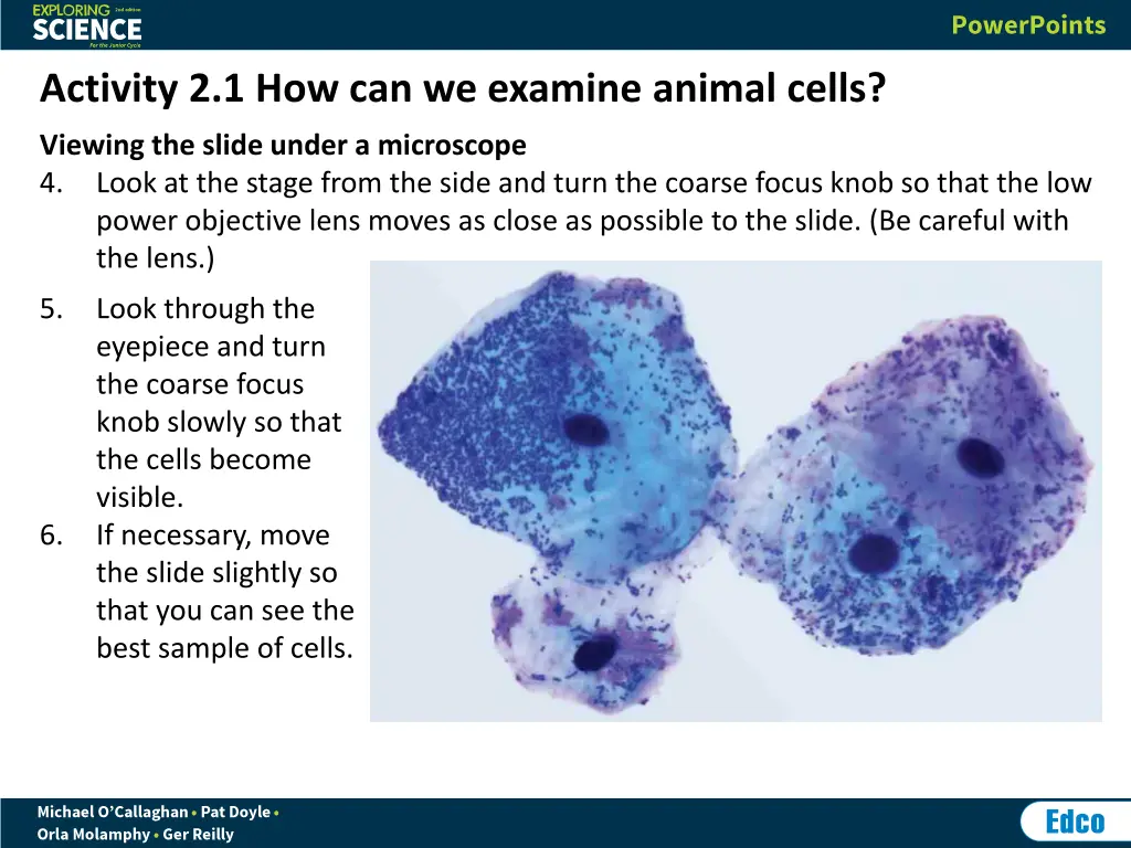 activity 2 1 how can we examine animal cells 3