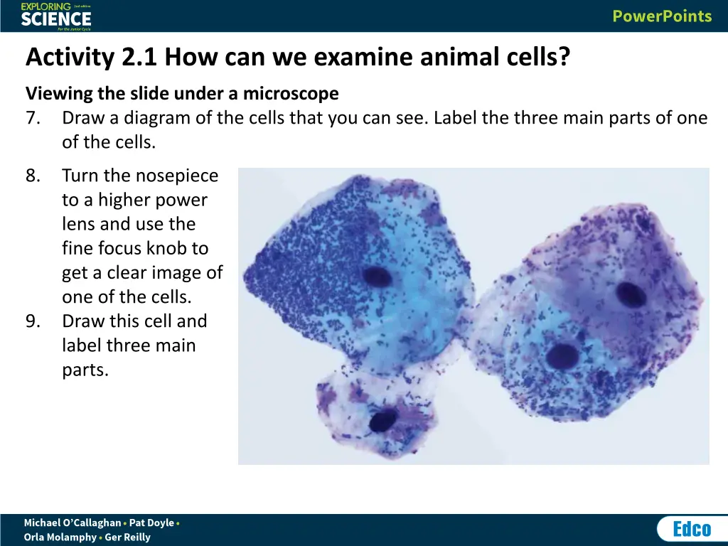 activity 2 1 how can we examine animal cells 4