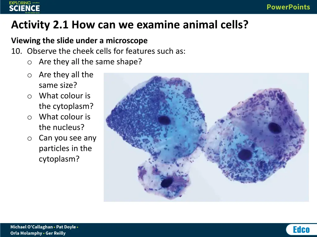 activity 2 1 how can we examine animal cells 5