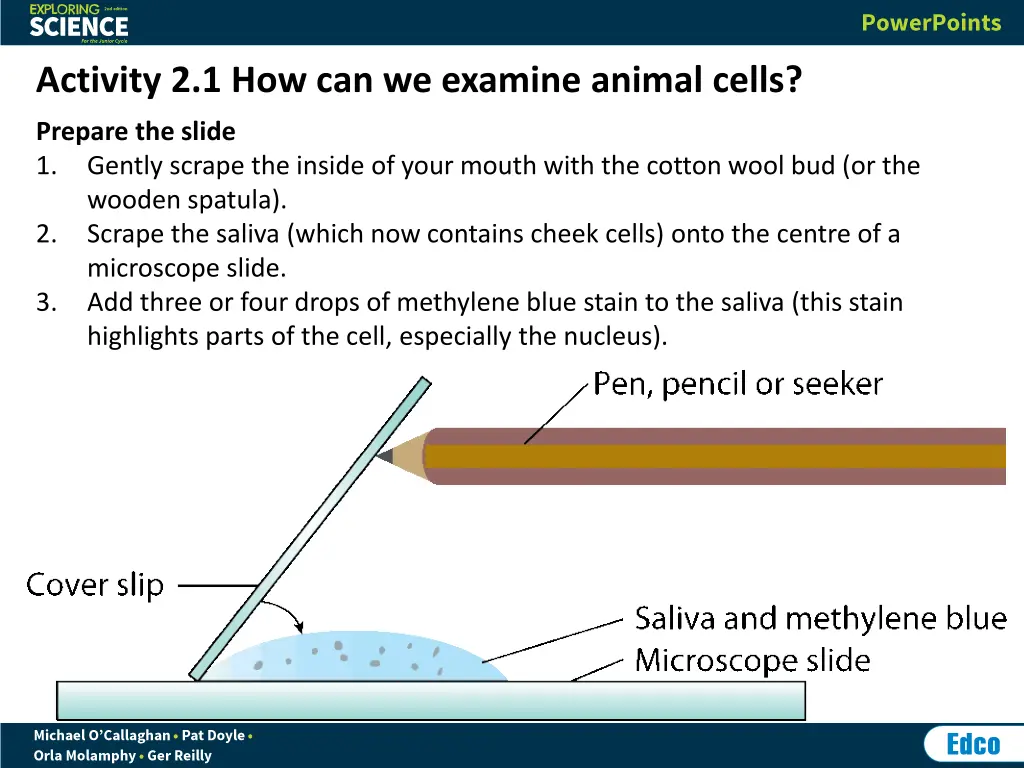 activity 2 1 how can we examine animal cells