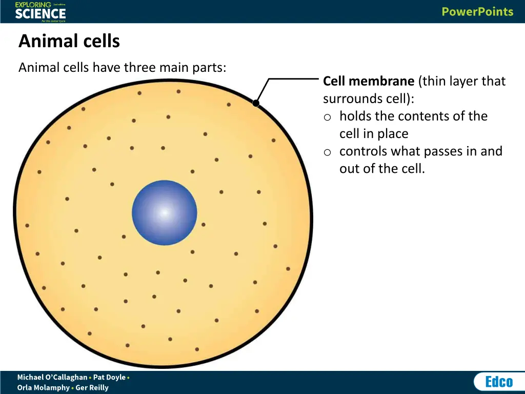 animal cells 1