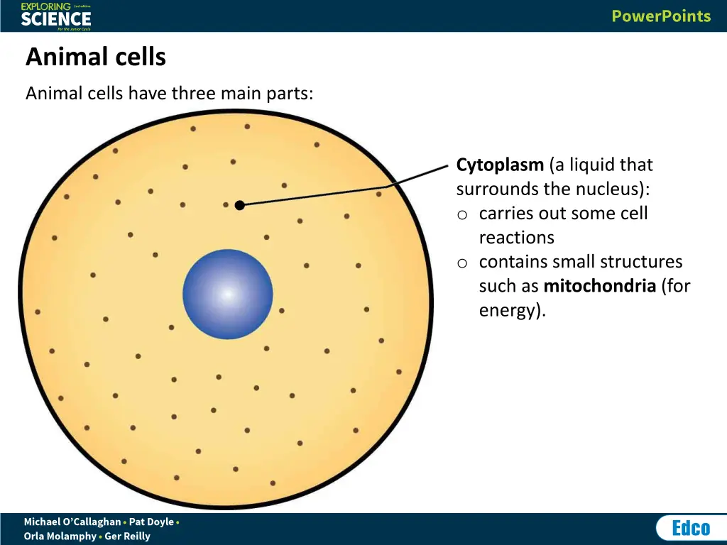 animal cells 3