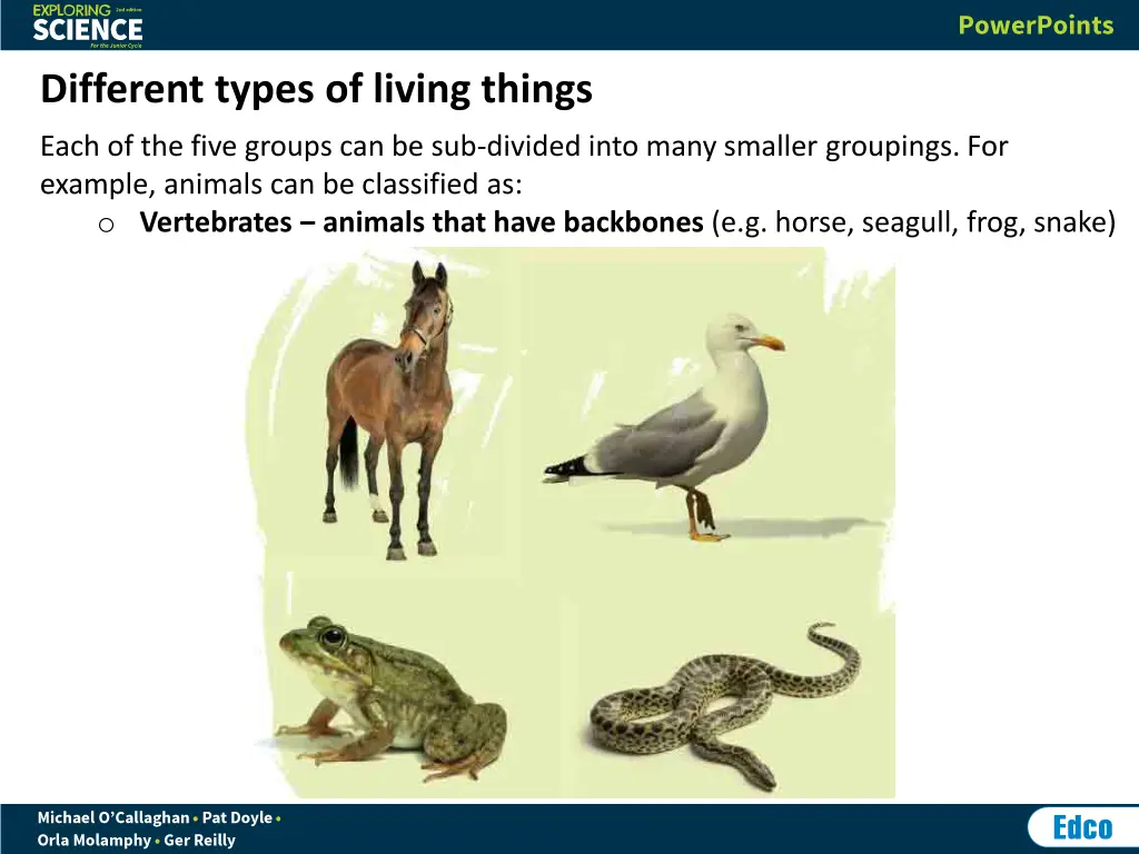 different types of living things 2