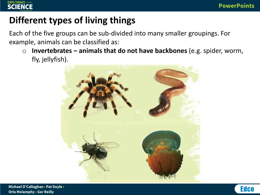 different types of living things 3