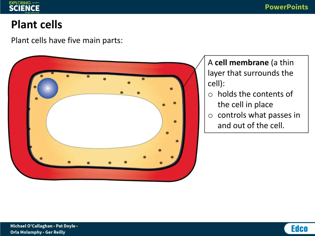 plant cells 1