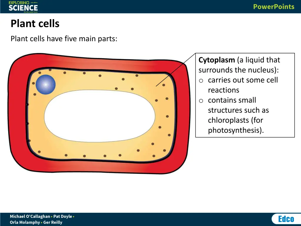 plant cells 3