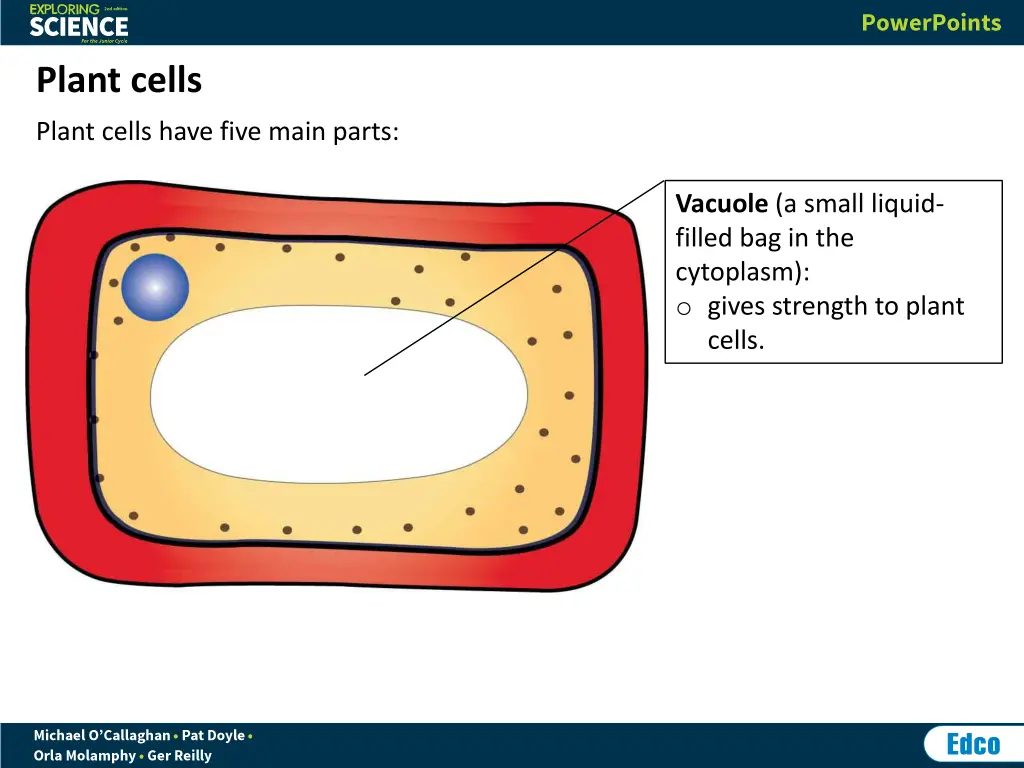 plant cells 4