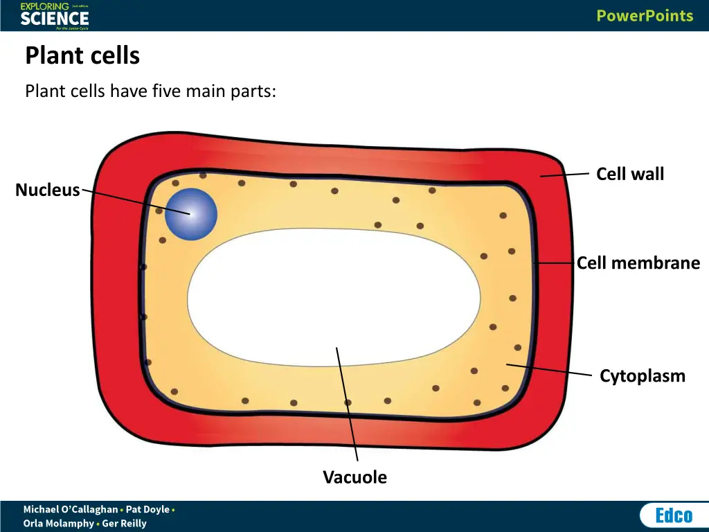 plant cells