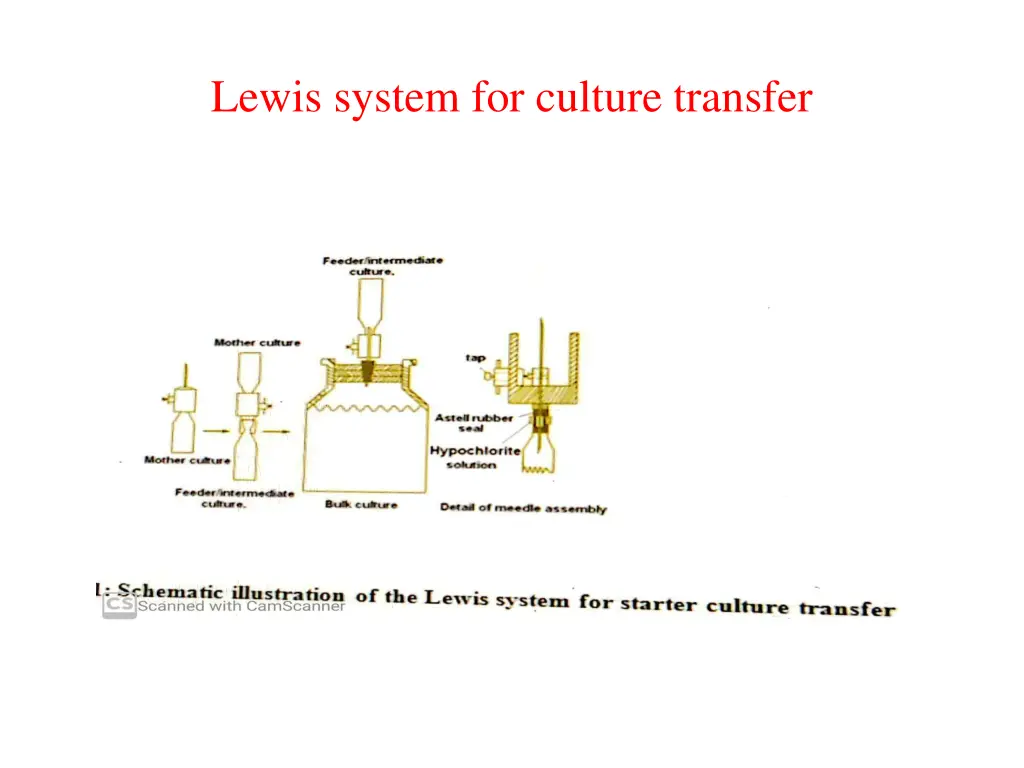 lewis system for culture transfer