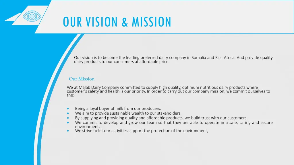 our vision mission