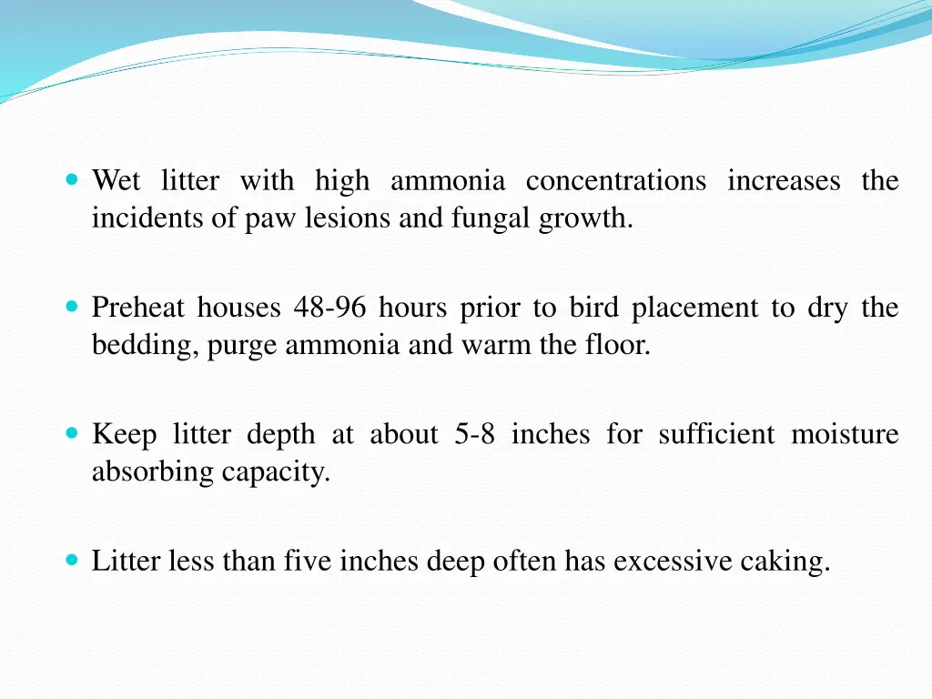 wet litter with high ammonia concentrations