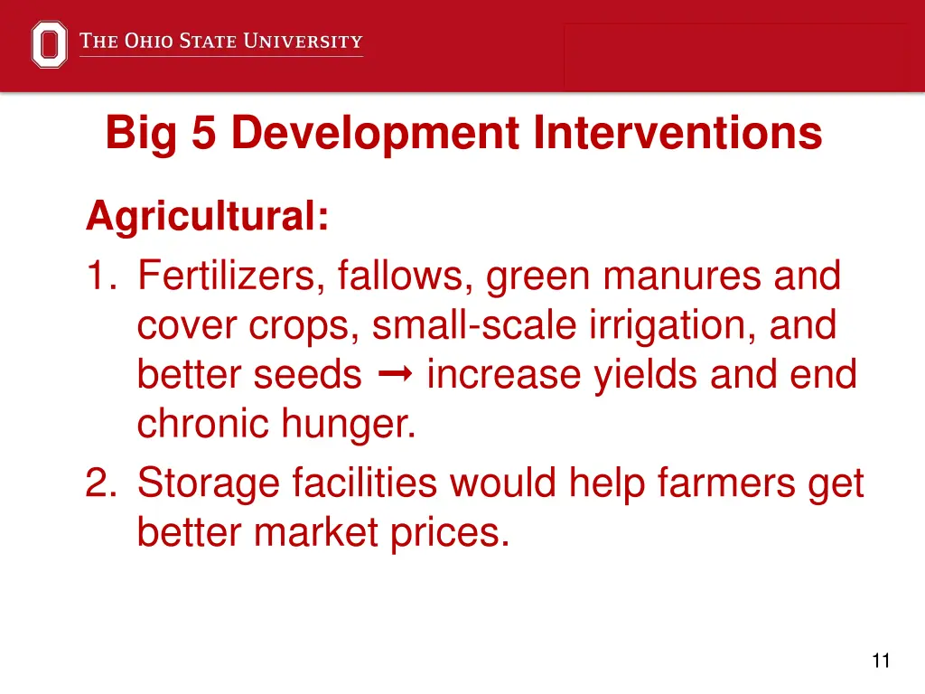 big 5 development interventions