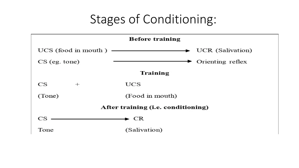 stages of conditioning