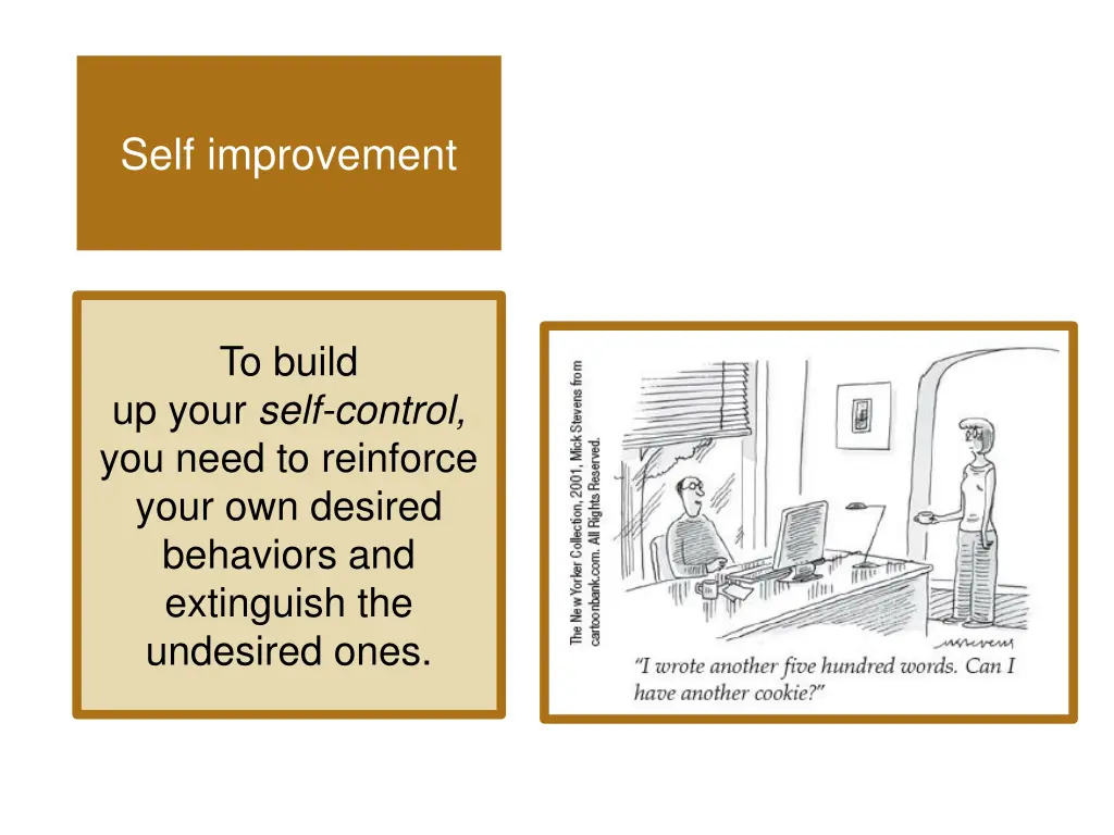 self improvement