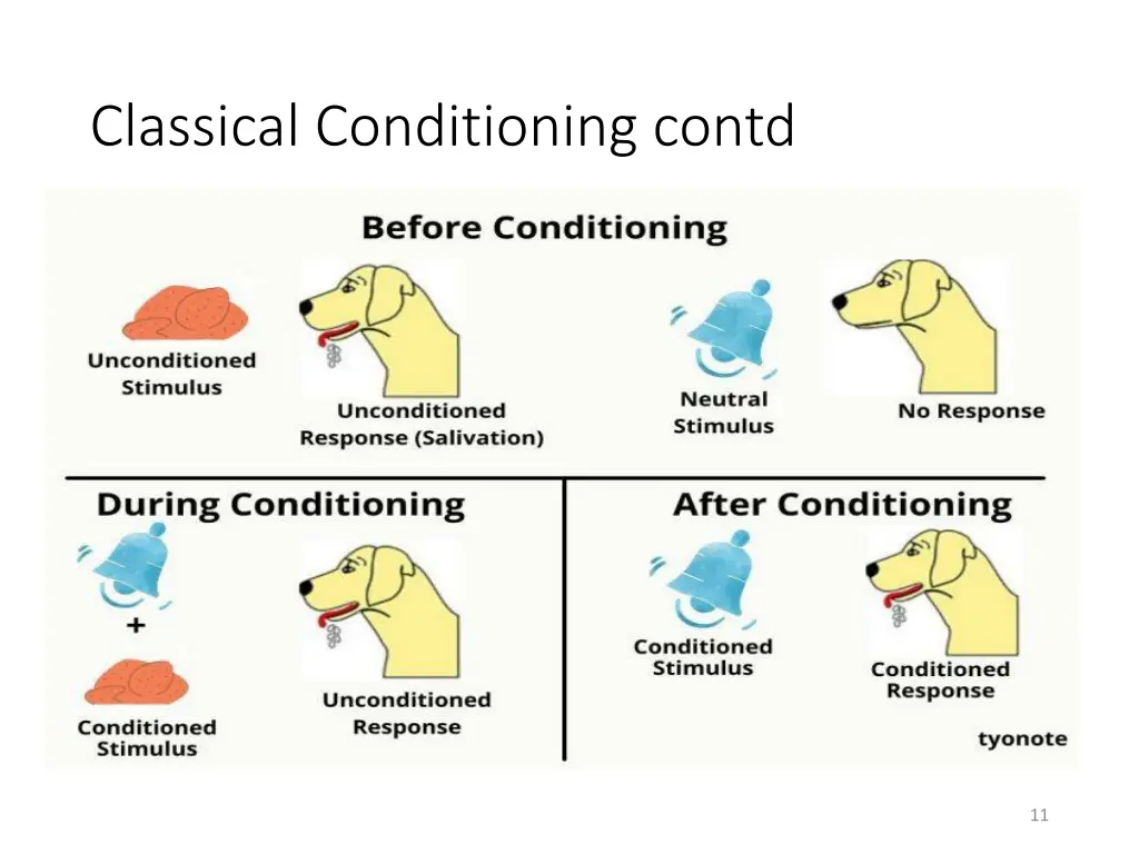 classical conditioning contd 1