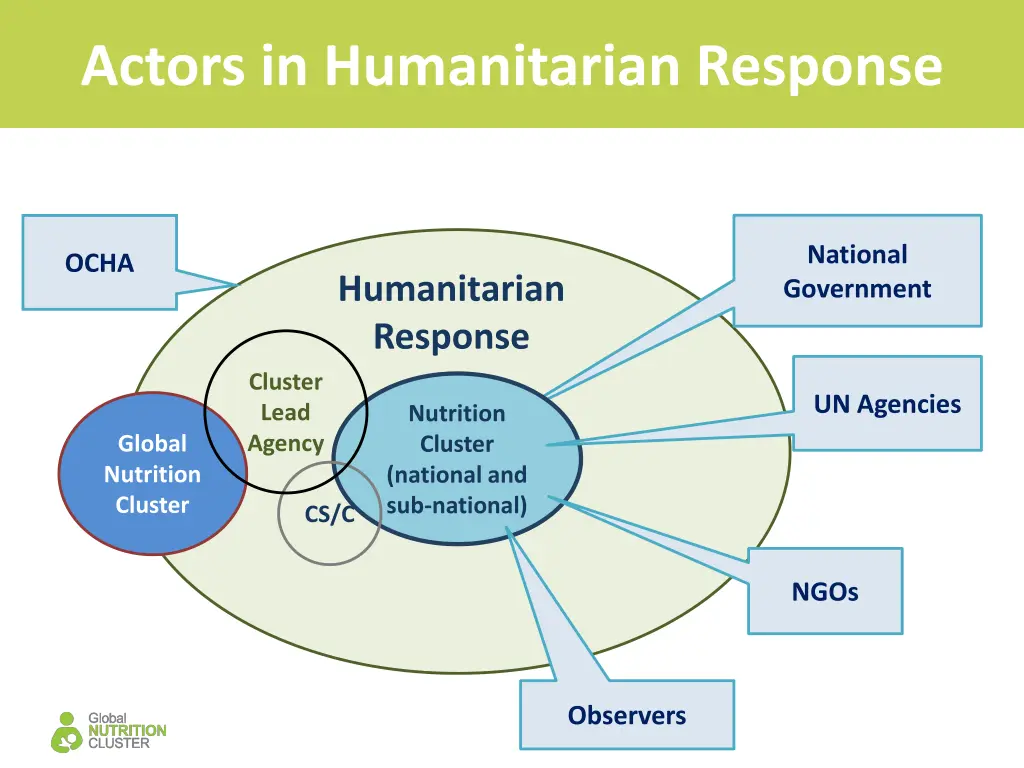 actors in humanitarian response