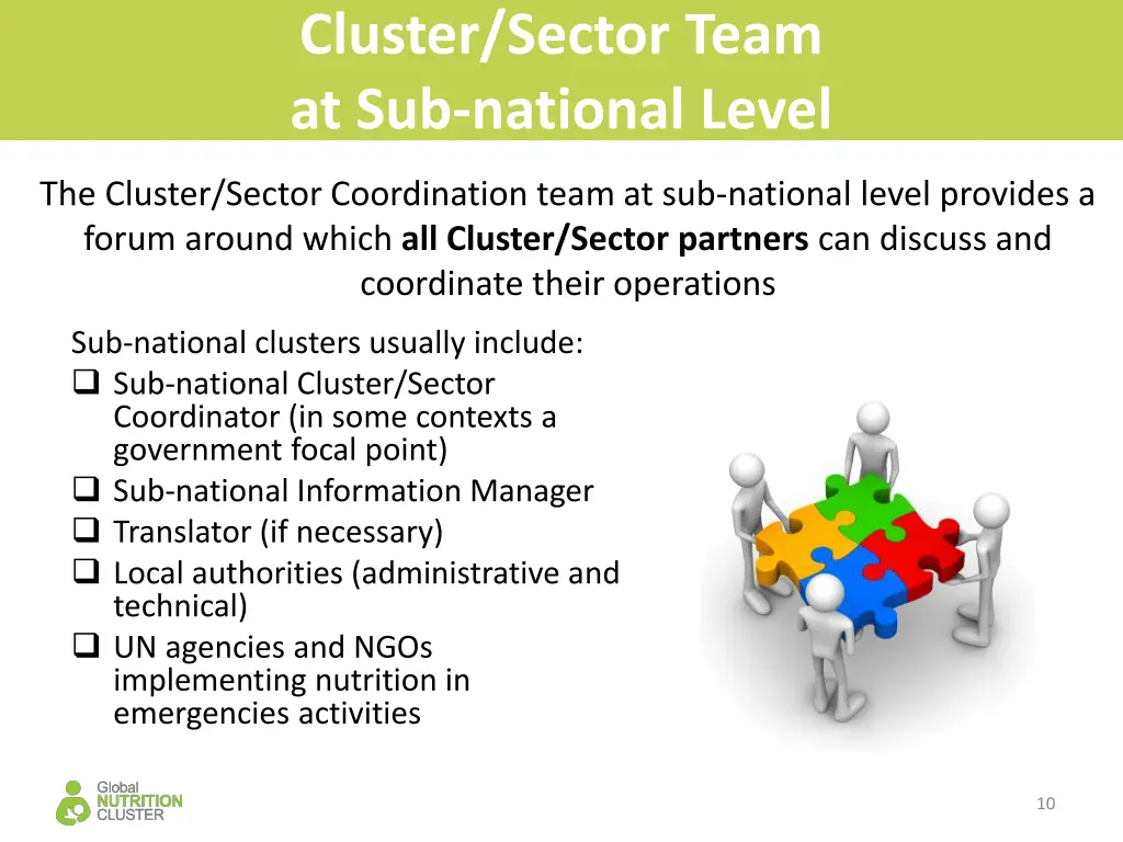 cluster sector team at sub national level