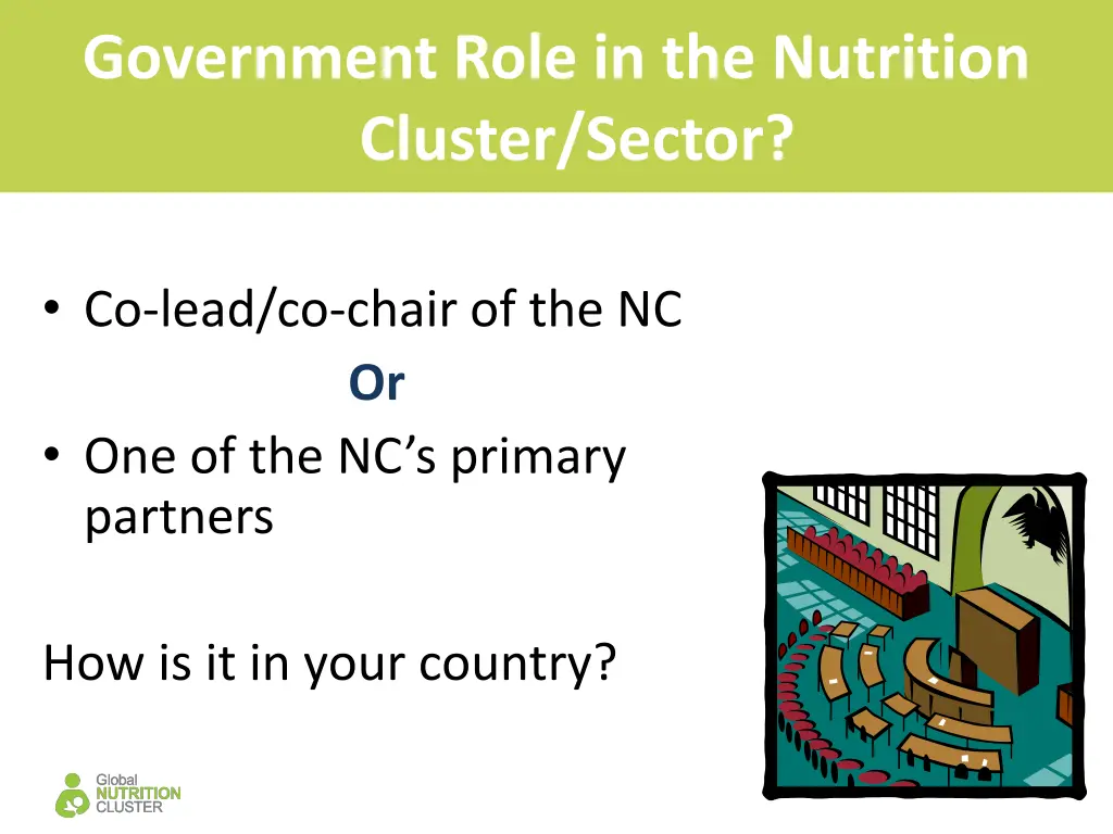 government role in the nutrition cluster sector