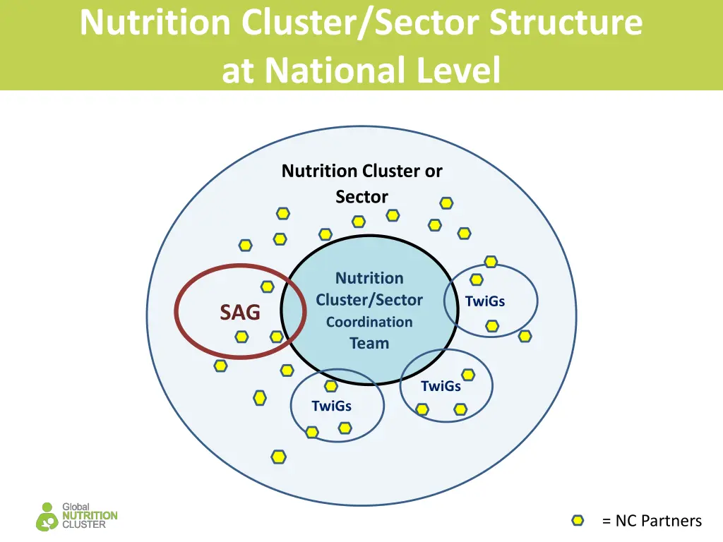 nutrition cluster sector structure at national