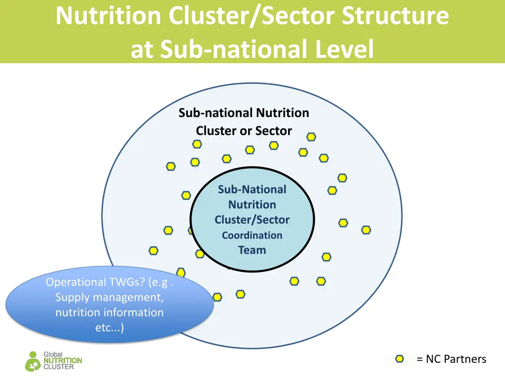 nutrition cluster sector structure