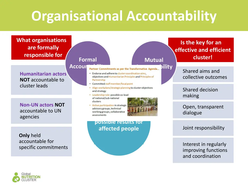 organisational accountability