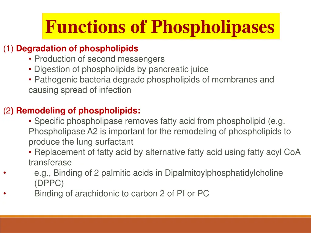 functions of phospholipases