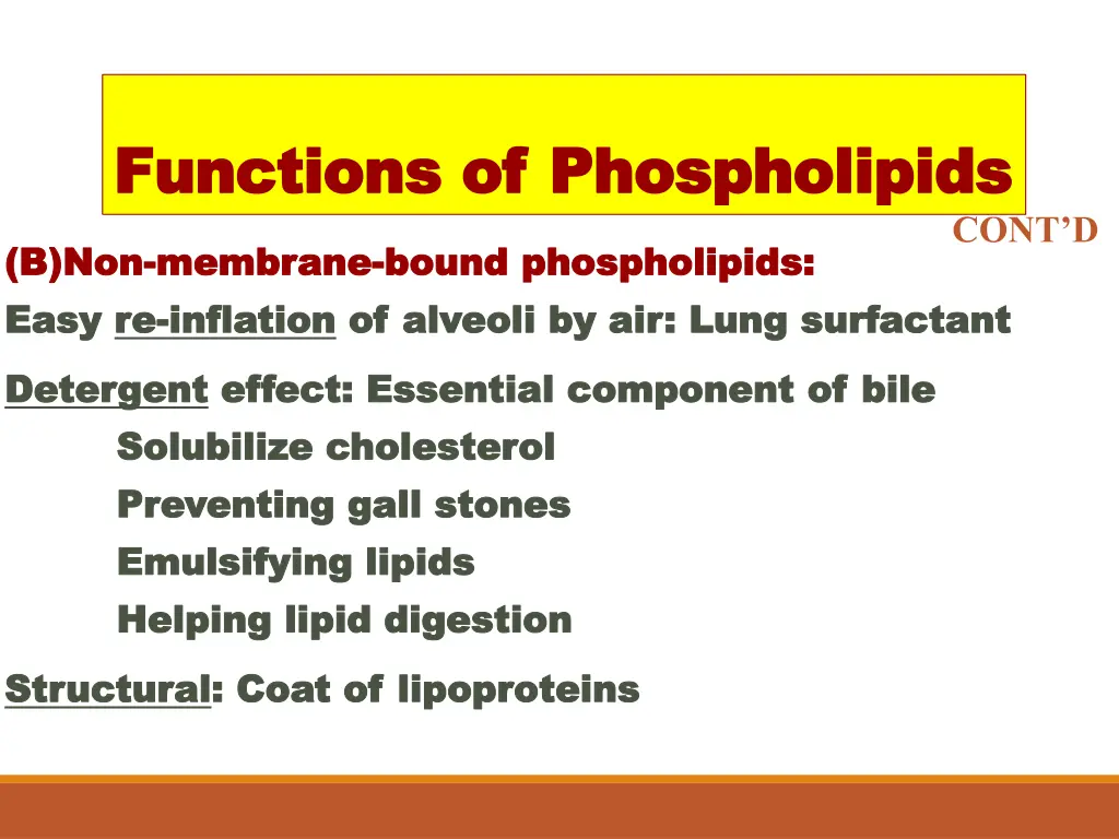 functions of phospholipids functions 1