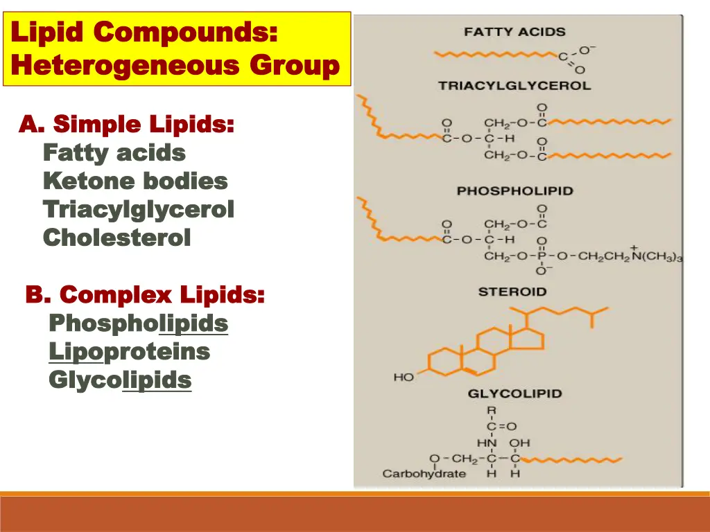 lipid compounds lipid compounds heterogeneous