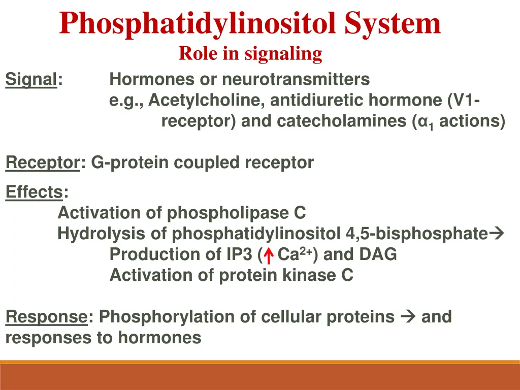 phosphatidylinositol system role in signaling