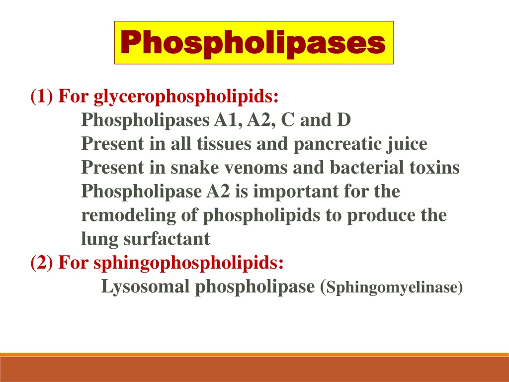 phospholipases phospholipases