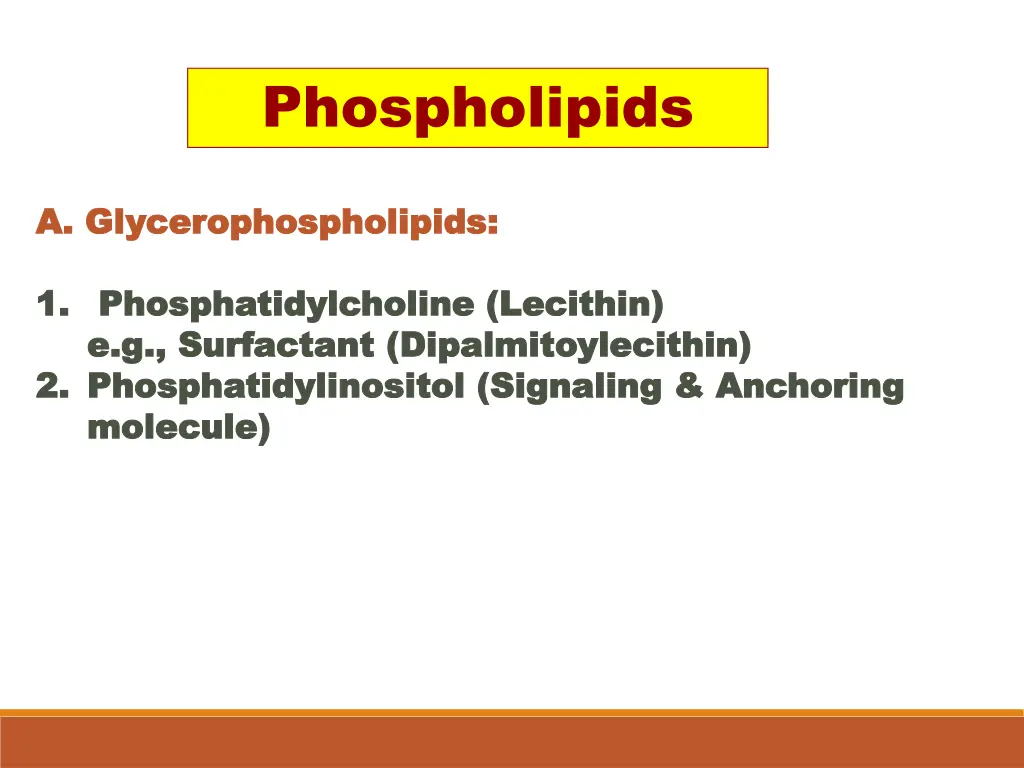 phospholipids