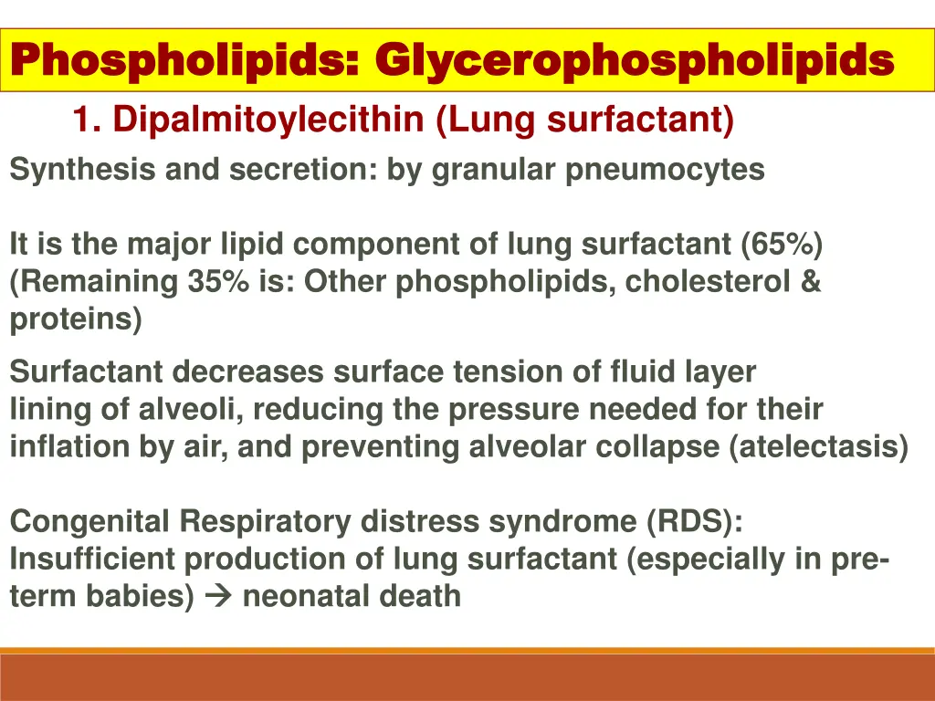 phospholipids phospholipids glycerophospholipids 1