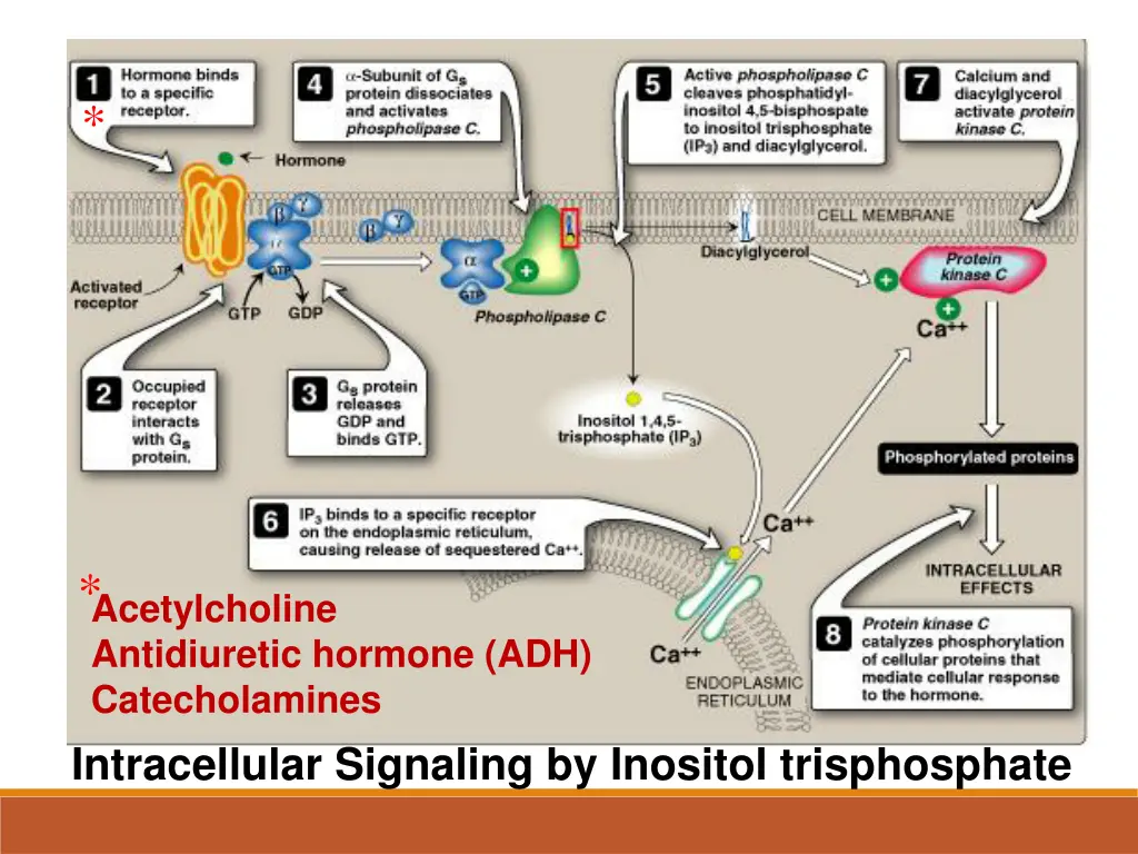 slide16