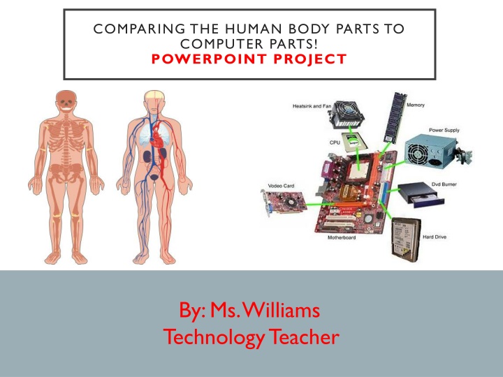 comparing the human body parts to computer parts