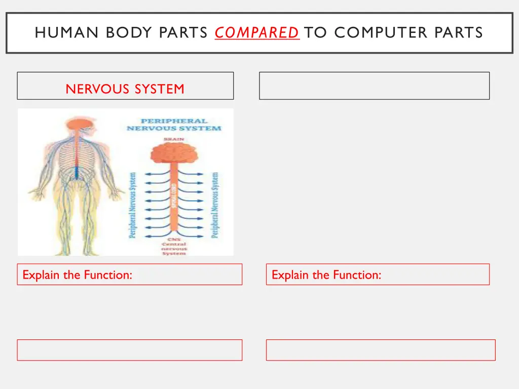 human body parts compared to computer parts 1