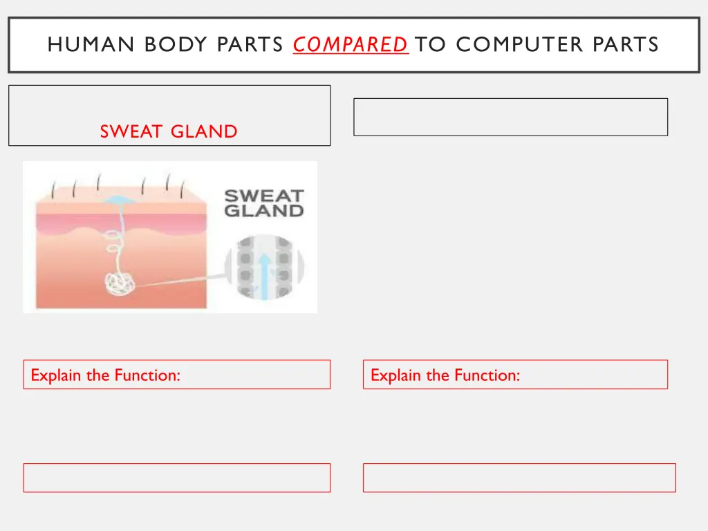 human body parts compared to computer parts 12