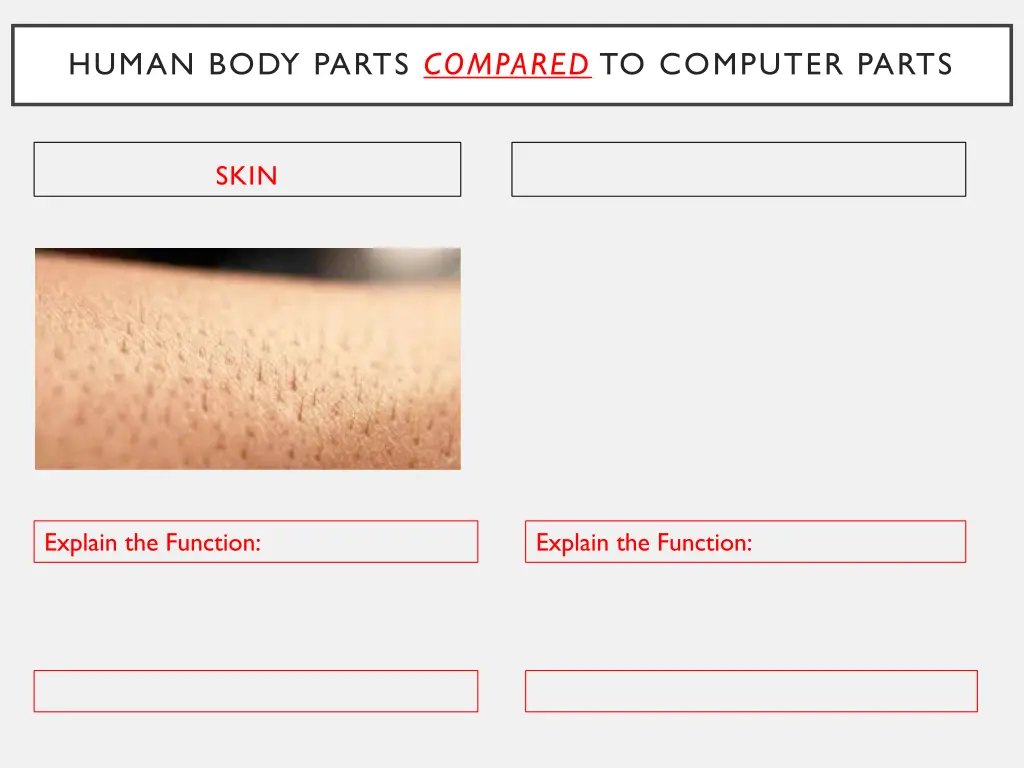 human body parts compared to computer parts 5