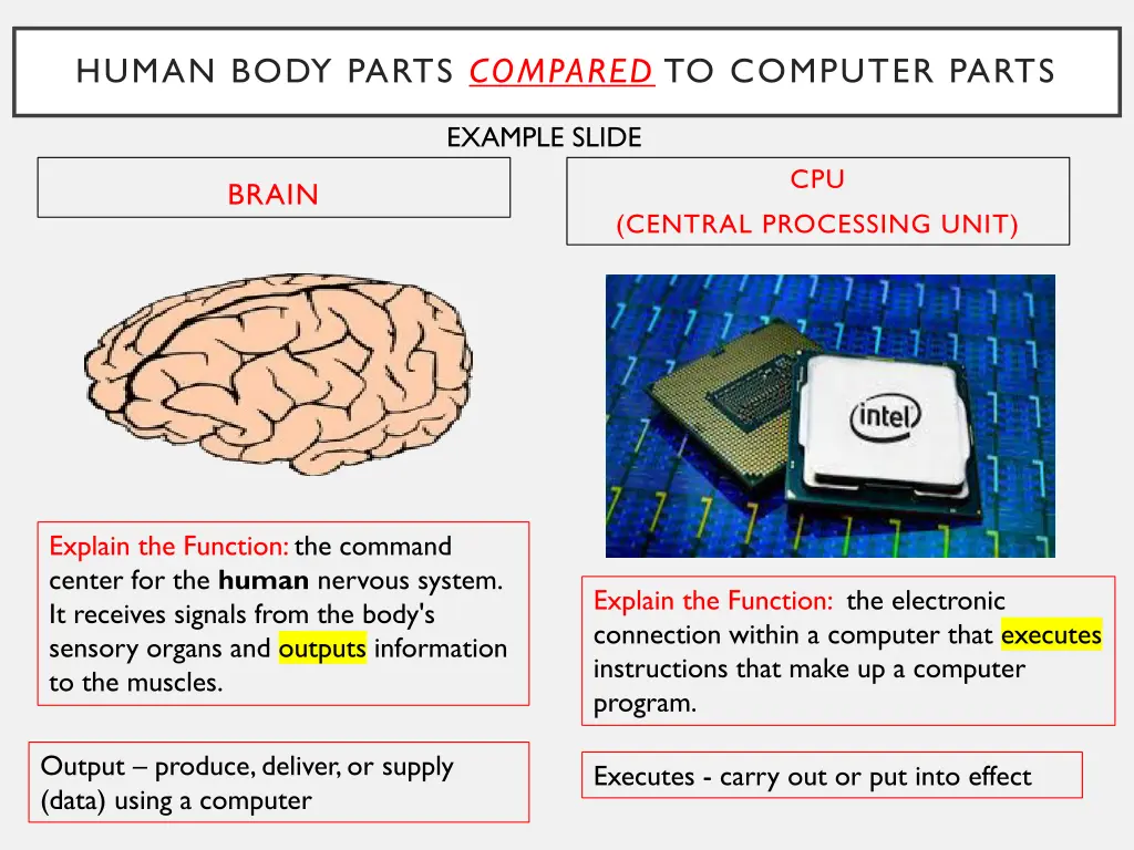 human body parts compared to computer parts