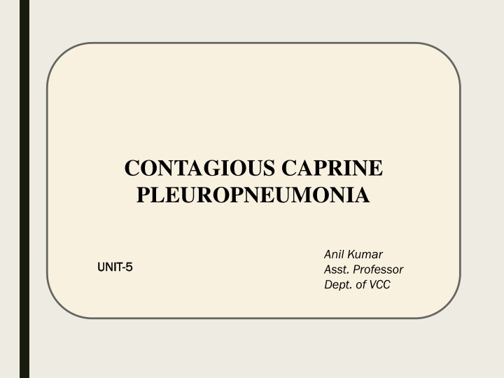 contagious caprine pleuropneumonia